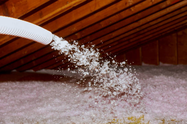 Types of Insulation We Offer in Austintown, OH
