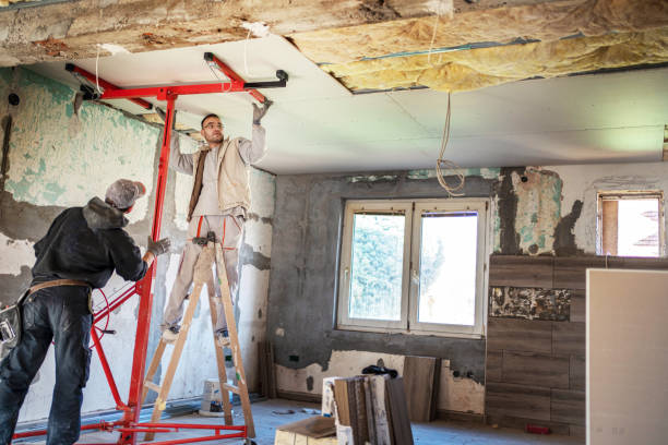 Best Eco-Friendly Insulation in Austintown, OH