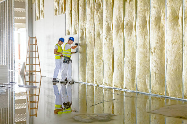 Best Residential Insulation in Austintown, OH